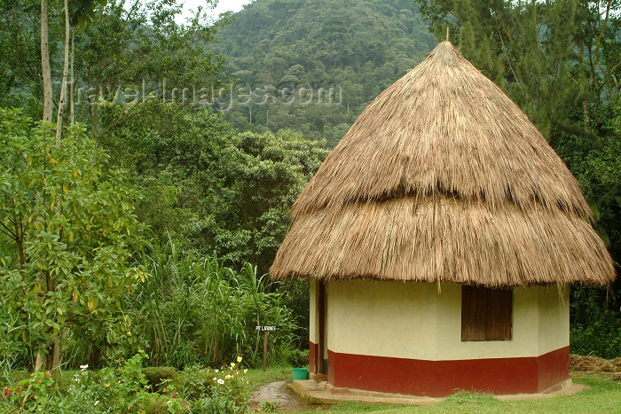 uganda18: Uganda - Gorilla accomodation - hut (photo by Jordan Banks) - (c) Travel-Images.com - Stock Photography agency - Image Bank