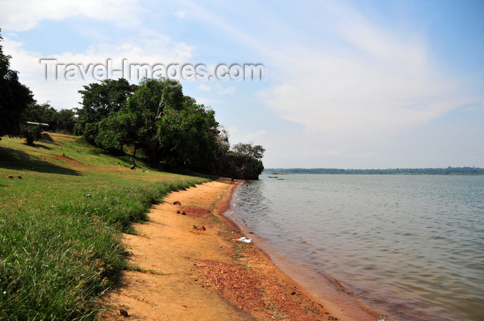 uganda180: Entebbe, Wakiso District, Uganda: the Botanical beach on the shore of Lake Victoria, Manyago area - photo by M.Torres - (c) Travel-Images.com - Stock Photography agency - Image Bank