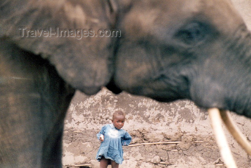 uganda2: Africa - Uganda - Queen Elizabeth National park - QENP: elephant and young girl (photo by Nacho Cabana) - (c) Travel-Images.com - Stock Photography agency - Image Bank