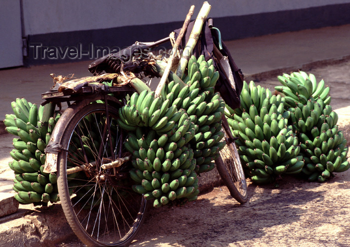 uganda32: Uganda - Fort Portal - bananas on a bike - photos of Africa by F.Rigaud - (c) Travel-Images.com - Stock Photography agency - Image Bank