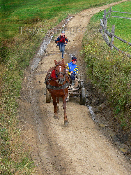 ukra89: Transcarpathia / Zakarpattya, Ukraine: countryside around Jablonica - horse cart on a dirt road - photo by J.Kaman - (c) Travel-Images.com - Stock Photography agency - Image Bank