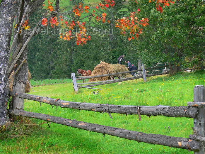 ukra90: Transcarpathia / Zakarpattya, Ukraine: countryside around Jablonica - fence - farmers loading hay - photo by J.Kaman - (c) Travel-Images.com - Stock Photography agency - Image Bank