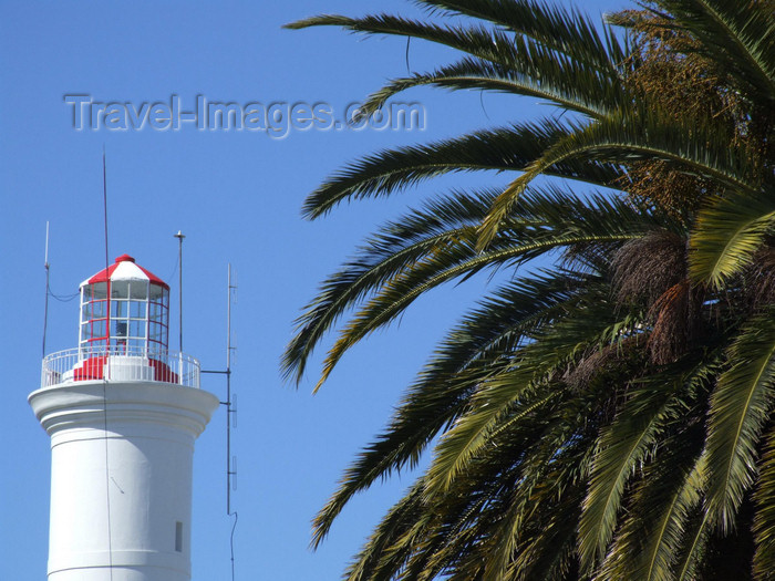 uruguay26: Uruguay - Colonia del Sacramento - Palmtree and lighthouse - photo by M.Bergsma - (c) Travel-Images.com - Stock Photography agency - Image Bank