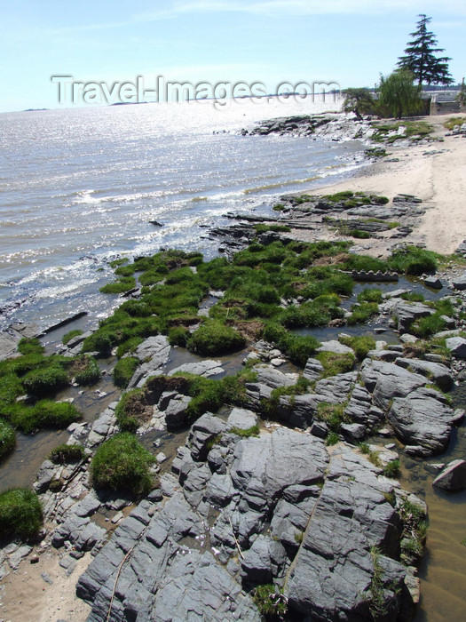 uruguay28: Uruguay - Colonia del Sacramento - rocky beach - photo by M.Bergsma - (c) Travel-Images.com - Stock Photography agency - Image Bank