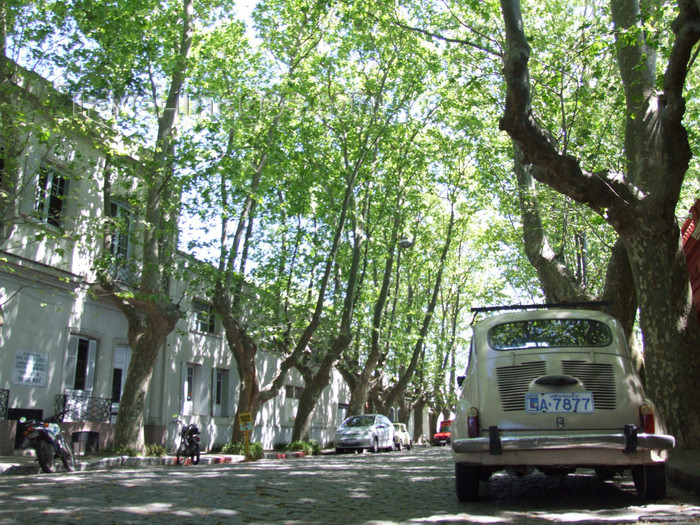 uruguay29: Uruguay - Colonia del Sacramento - Small car, green trees - photo by M.Bergsma - (c) Travel-Images.com - Stock Photography agency - Image Bank