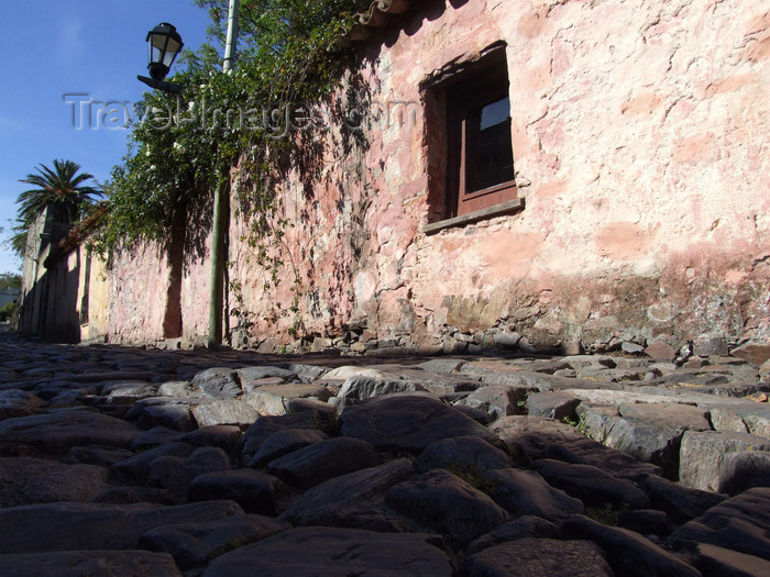 uruguay34: Uruguay - Colonia del Sacramento - The oldest street of Colonia, founded by Manuel Lobo -  cobblestones - photo by M.Bergsma - (c) Travel-Images.com - Stock Photography agency - Image Bank