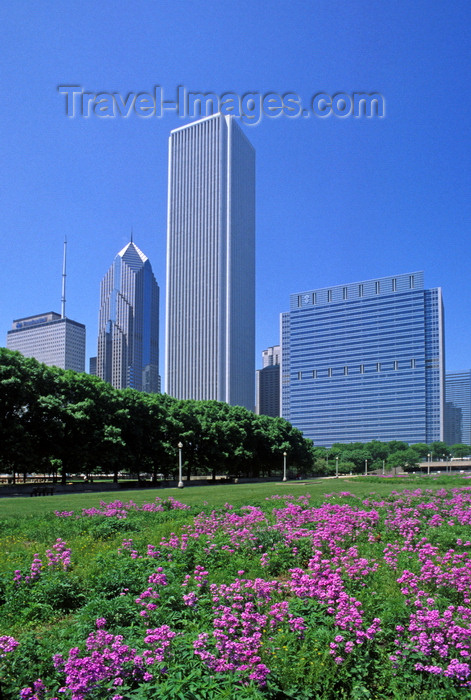 usa1078: Chicago, Illinois, USA: skyscrapers backdrop a field of purple wildflowers in Grant Park - downtown - One and Two Prudential Plaza, Aon Center and Blue Cross and Blue Shield tower - photo by C.Lovell - (c) Travel-Images.com - Stock Photography agency - Image Bank