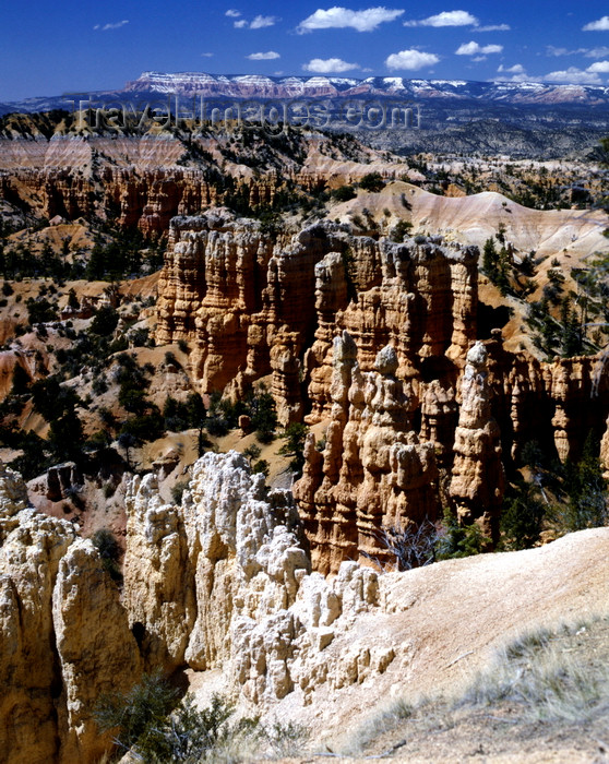 usa109: Bryce Canyon National Park, Utah, USA: hoodoos, formed by wind, water and ice erosion of the rsedimentary rocks - photo by J.Fekete - (c) Travel-Images.com - Stock Photography agency - Image Bank