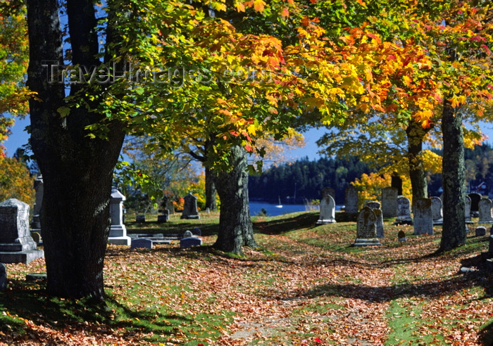 usa1095: Maine, USA: old cemetery trees with Fall colors - New England Atlantic Coast - photo by C.Lovell - (c) Travel-Images.com - Stock Photography agency - Image Bank