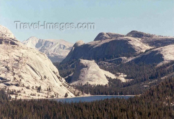 usa111: USA - Yosemite National Park (California): Tioga Pass - Unesco world heritage site - photo by P.Willis - (c) Travel-Images.com - Stock Photography agency - Image Bank