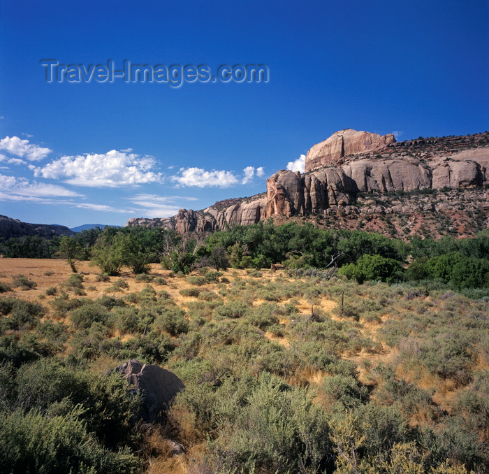 usa112: Canyonlands National Park, Utah, USA: needles district - cliff face - photo by C.Lovell - (c) Travel-Images.com - Stock Photography agency - Image Bank