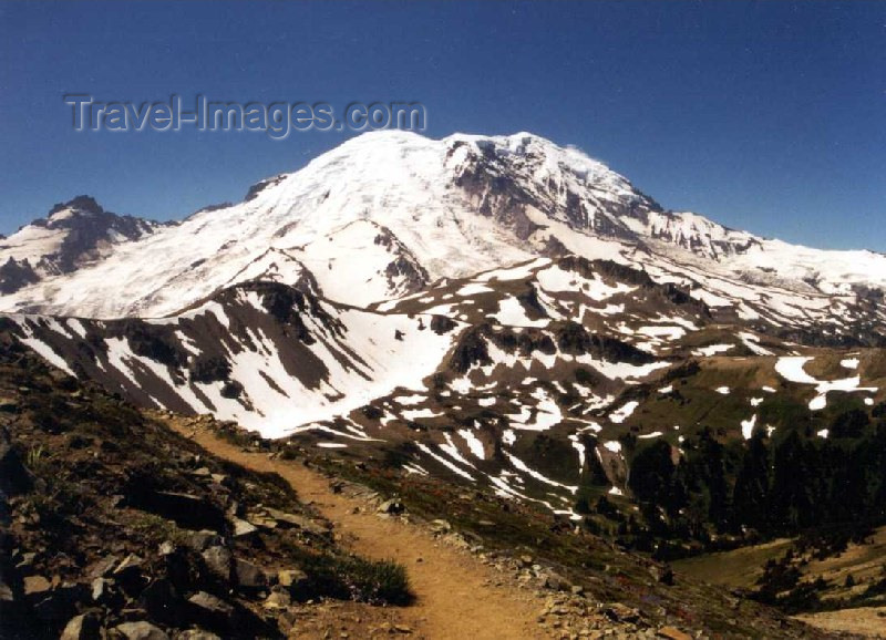 usa116: Mount Rainier (Washington)  - photo by P.Willis - (c) Travel-Images.com - Stock Photography agency - Image Bank