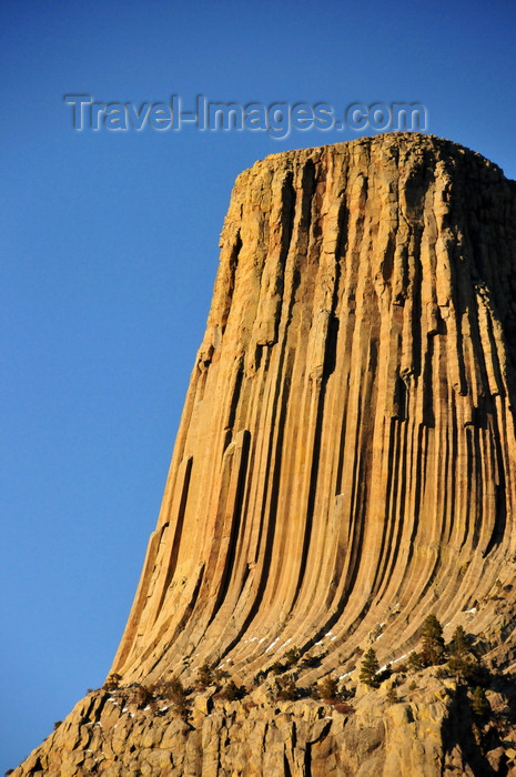 usa120: Devils Tower National Monument, Wyoming: monolithic igneous intrusion or volcanic neck - magma welled up into the surrounding sedimentary rock - photo by M.Torres - (c) Travel-Images.com - Stock Photography agency - Image Bank