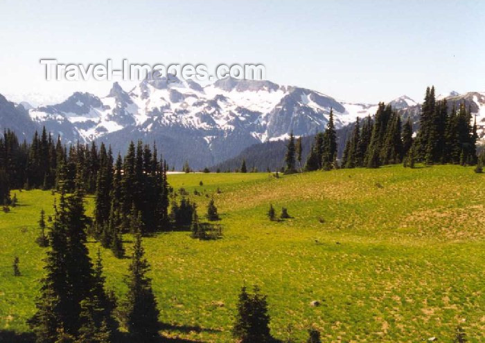 usa123: Mount Rainier National Park (Washington - Pacific Northwest region) - photo by P.Willis - (c) Travel-Images.com - Stock Photography agency - Image Bank