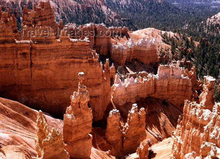 usa124: Bryce Canyon National Park (Utah): erosion and hoodos - photo by J.Fekete - (c) Travel-Images.com - Stock Photography agency - Image Bank