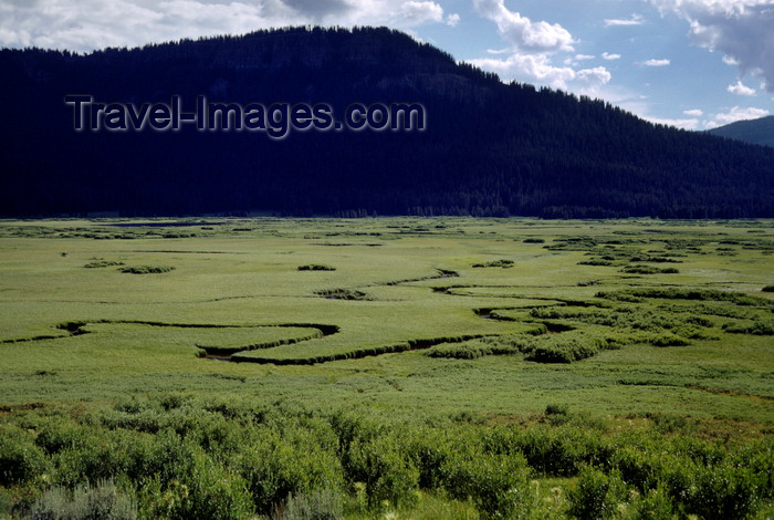 usa1261: Wyoming, USA: valley floor with winding streams - meanders - photo by C.Lovell - (c) Travel-Images.com - Stock Photography agency - Image Bank