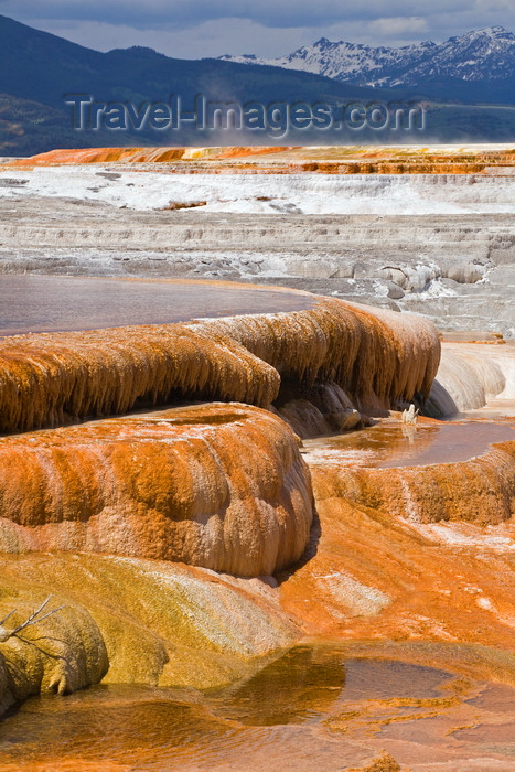 usa1266: Yellowstone National Park, Wyoming USA: Mammoth Hot Spring Terraces - the world’s largest known carbonate-depositing spring - Unesco world heritage site - photo by C.Lovell - (c) Travel-Images.com - Stock Photography agency - Image Bank