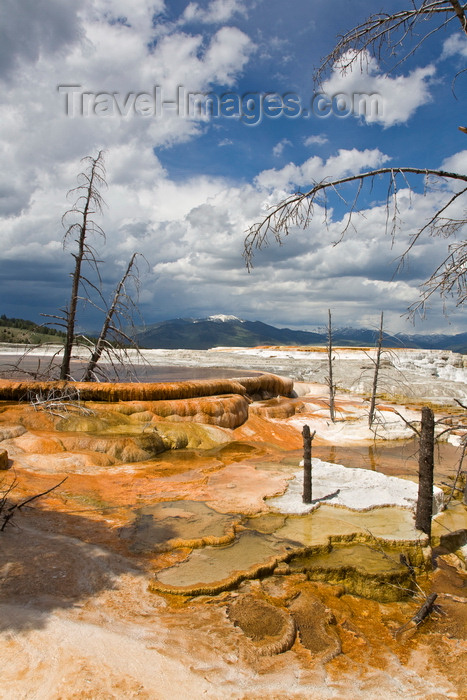 usa1267: Yellowstone National Park, Wyoming USA: Mammoth Hot Spring Terraces are a wonderful example of volcanic thermal features - cold ground water is warmed by heat radiating from the magma chamber before rising back to the surface - photo by C.Lovell  - (c) Travel-Images.com - Stock Photography agency - Image Bank