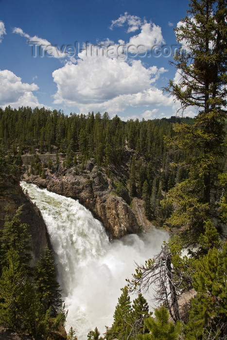 usa1282: Yellowstone National Park, Wyoming, USA: the Upper Yellowstone Falls and the Yellowstone River during spring runoff - photo by C.Lovell - (c) Travel-Images.com - Stock Photography agency - Image Bank