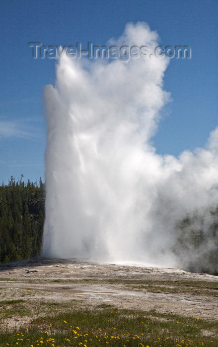 usa1286: Yellowstone National Park, Wyoming, USA: Old Faithful Geyser - Cone geyser in the Upper Geyser Basin, Teton County - Unesco world heritage site - photo by C.Lovell - (c) Travel-Images.com - Stock Photography agency - Image Bank