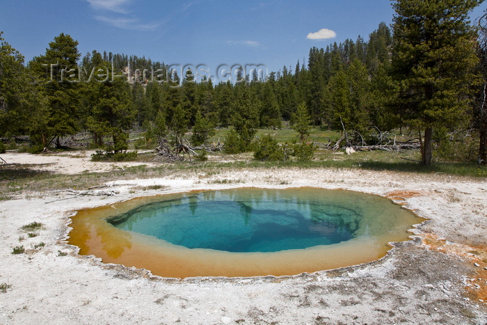 usa1294: Yellowstone National Park, Wyoming, USA: a hot spring near Nez Perce Creek is one of thousands of thermal features in the park - photo by C.Lovell - (c) Travel-Images.com - Stock Photography agency - Image Bank