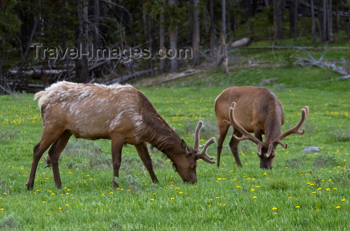 (c) Travel-Images.com - Stock Photography agency - the Global Image Bank