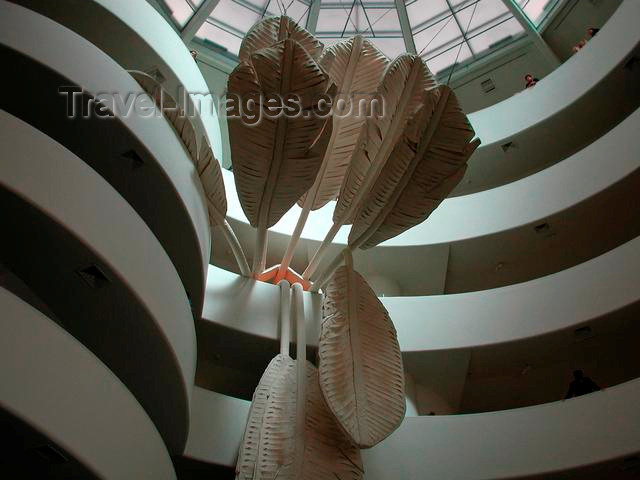 usa131: Manhattan (New York): banana tree at the Guggenheim museum - Solomon R. Guggenheim Museum - modern art museum - Upper East Side - architect: Frank Lloyd Wright - photo by P.Soter - (c) Travel-Images.com - Stock Photography agency - Image Bank