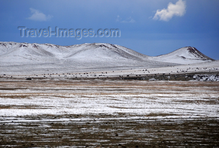 usa1316: Thunder Basin National Grassland, Wyoming, USA: the little dark dots on the snow are bisons - photo by M.Torres - (c) Travel-Images.com - Stock Photography agency - Image Bank