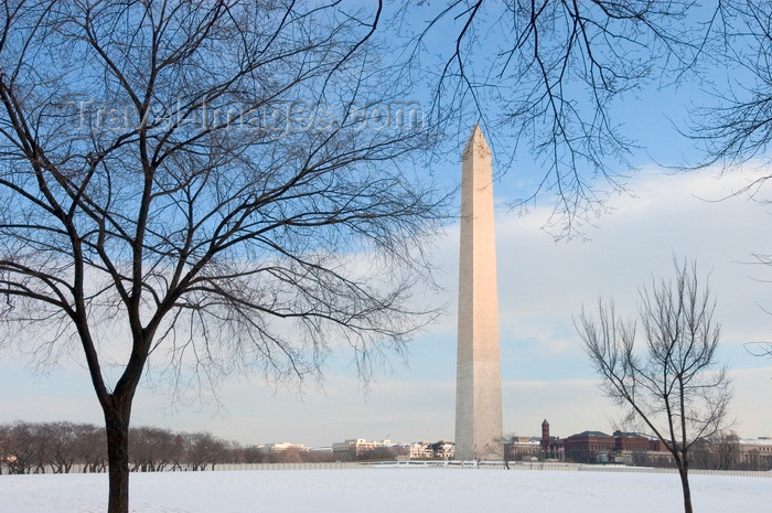 usa1346: Washington, D.C., USA: bare trees of the National Mall frame the 555 foot Washington Monument honoring President George Washington - photo by C.Lovell - (c) Travel-Images.com - Stock Photography agency - Image Bank