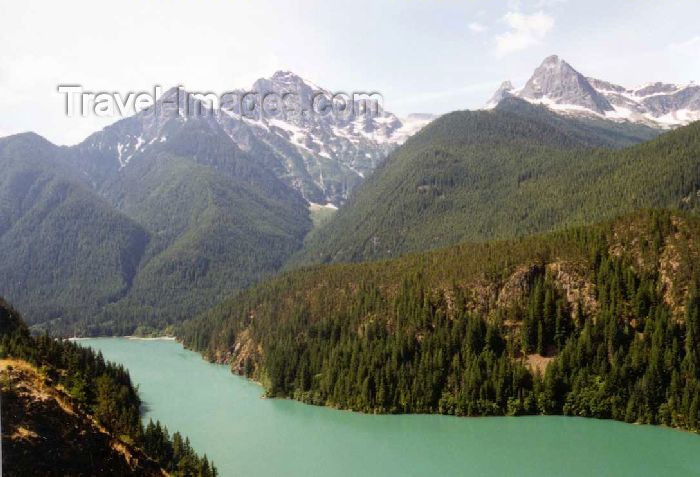 usa137: Cascades National Park (Washington) - photo by P.Willis - (c) Travel-Images.com - Stock Photography agency - Image Bank