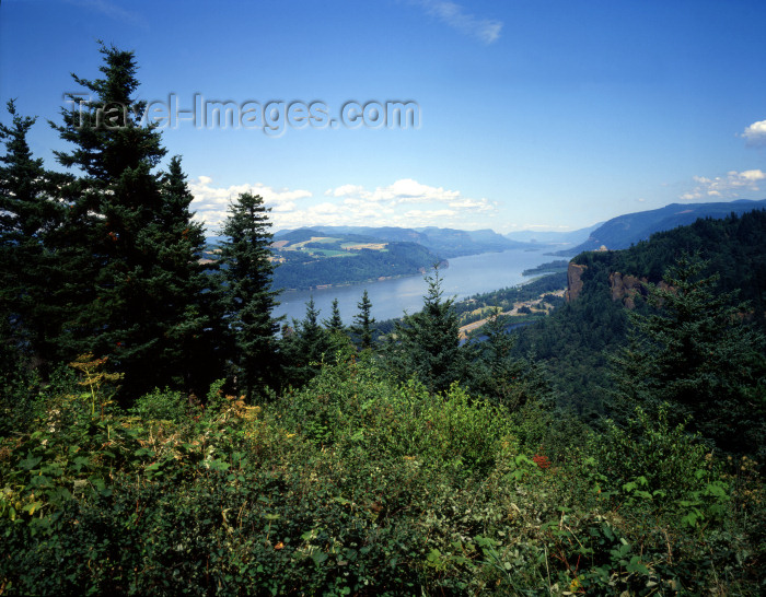 usa139: USA - Crown Point (Oregon): Columbia River Gorge - photo by J.Fekete - (c) Travel-Images.com - Stock Photography agency - Image Bank