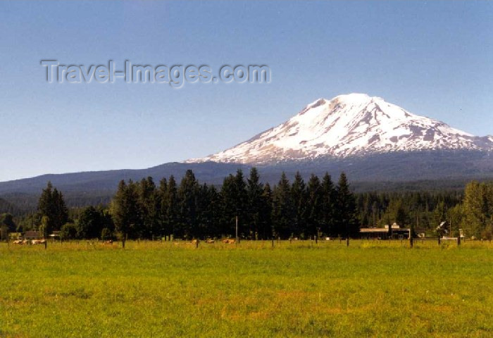 usa140: Mount Adams (Washington)  - photo by P.Willis - (c) Travel-Images.com - Stock Photography agency - Image Bank