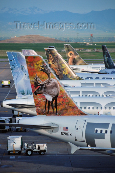 usa1433: Denver, Colorado, USA: Denver International Airport - row of Frontier aircraft with their unique tail art - Airbus A320-214 N201FR Caribou 'Yukon' cn3389 - photo by M.Torres - (c) Travel-Images.com - Stock Photography agency - Image Bank