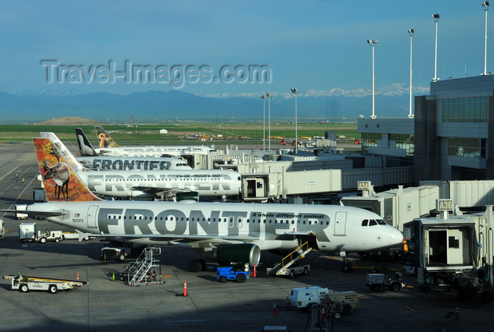 usa1435: Denver, Colorado, USA: Denver International Airport - Frontier Airlines aircraft at Concourse A with the Rocky Mountains in the background - Airbus A320-214 N201FR Caribou 'Yukon' cn3389 - photo by M.Torres - (c) Travel-Images.com - Stock Photography agency - Image Bank