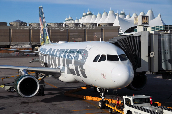 usa1441: Denver, Colorado, USA: Denver International Airport - Frontier Airlines Airbus A319-112 N943FR, Deer Fawn 'Cloe' - CN 2518 - preparing for pushback - Concourse A, Gate A44 - Teflon-coated fiberglass tent roof of Jeppesen terminal in the background - photo by M.Torres - (c) Travel-Images.com - Stock Photography agency - Image Bank