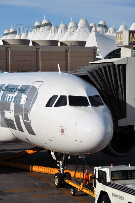 usa1442: Denver, Colorado, USA: Denver International Airport - nose view of Frontier Airlines Airbus A319-112 N943FR, Deer Fawn 'Cloe' - CN 2518 - tug and towbar - Concourse A, Gate A44 - photo by M.Torres - (c) Travel-Images.com - Stock Photography agency - Image Bank