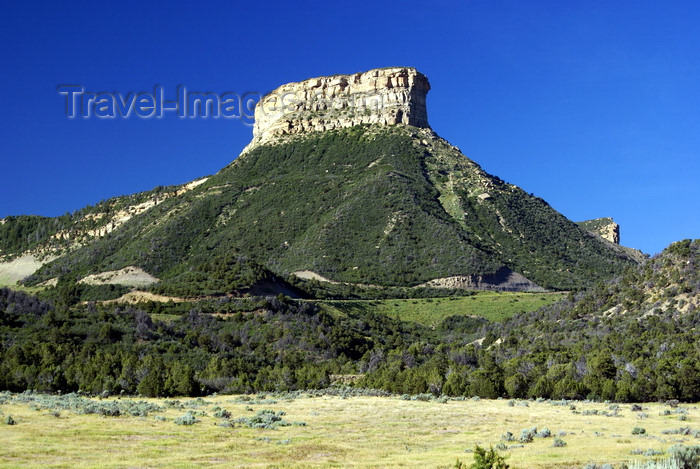 usa1457: Mesa Verde National Park, Montezuma County, Colorado, USA: large mesa with green slopes - view from the park entrance - photo by A.Ferrari - (c) Travel-Images.com - Stock Photography agency - Image Bank