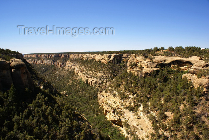 usa1460: Mesa Verde National Park, Montezuma County, Colorado, USA: Canyon lookout, above Cliff Palace - photo by A.Ferrari - (c) Travel-Images.com - Stock Photography agency - Image Bank