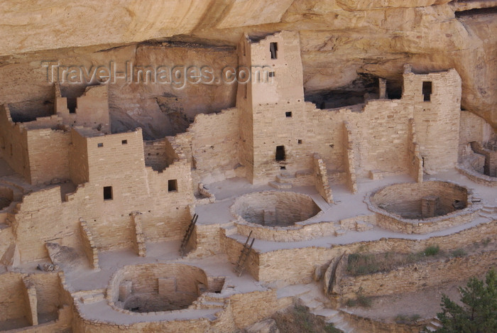 usa1463: Mesa Verde National Park, Montezuma County, Colorado, USA: Cliff Palace showing three kivas - built by the Anasazi culture - Pueblo People - photo by A.Ferrari - (c) Travel-Images.com - Stock Photography agency - Image Bank