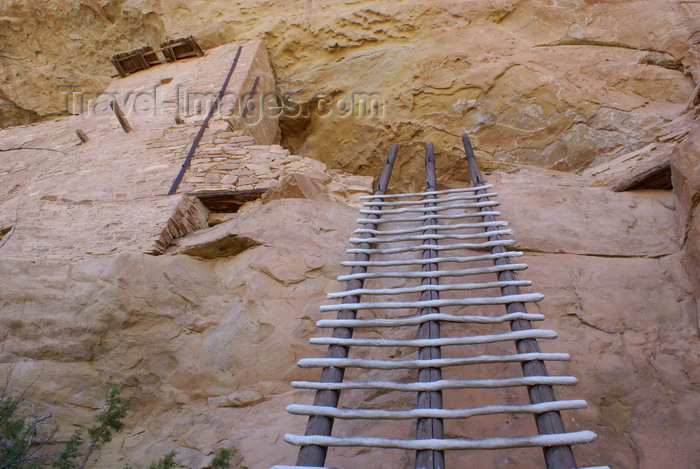 usa1465: Mesa Verde National Park, Montezuma County, Colorado, USA: ladder, on the way to Balcony House, above Soda canyon - photo by A.Ferrari - (c) Travel-Images.com - Stock Photography agency - Image Bank
