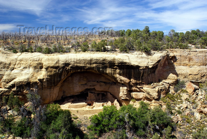 usa1466: Mesa Verde National Park, Montezuma County, Colorado, USA: Oak Tree House - view from Canyon lookout, Mesa Top Loop - photo by A.Ferrari - (c) Travel-Images.com - Stock Photography agency - Image Bank