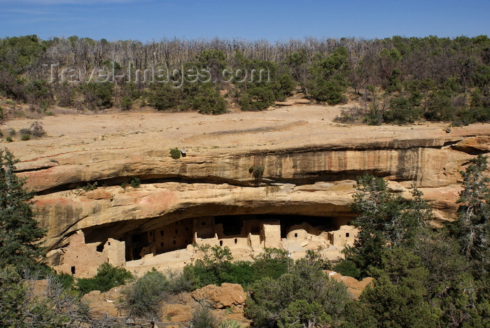 usa1467: Mesa Verde National Park, Montezuma County, Colorado, USA: Spruce Tree House - sheltered alcove at Chapin Mesa - photo by A.Ferrari - (c) Travel-Images.com - Stock Photography agency - Image Bank