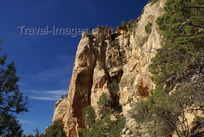 usa1469: Mesa Verde National Park, Montezuma County, Colorado, USA: cliffs along the Petroglyph Point Trail - photo by A.Ferrari - (c) Travel-Images.com - Stock Photography agency - Image Bank