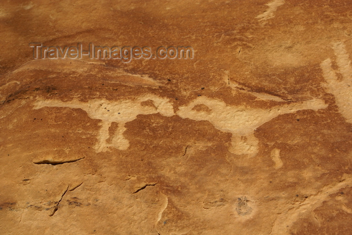 usa1471: Mesa Verde National Park, Montezuma County, Colorado, USA: Petroglyphs, at the end of the Petroglyph Point Trail - kissing birds - photo by A.Ferrari - (c) Travel-Images.com - Stock Photography agency - Image Bank