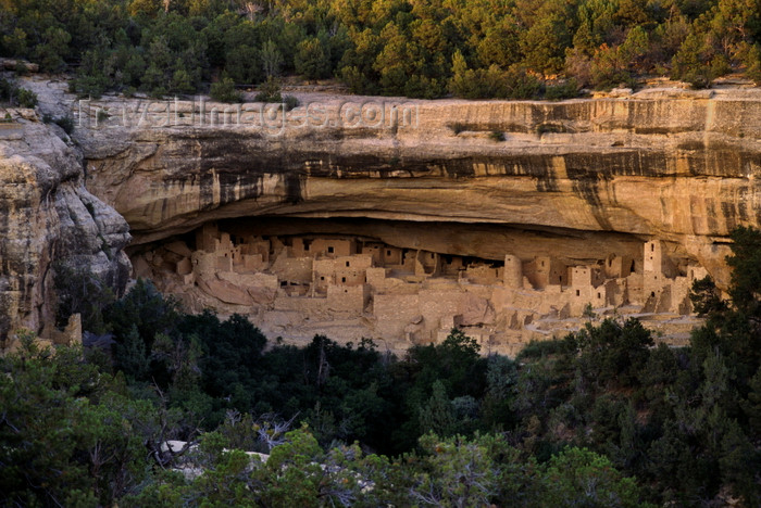 usa1484: Mesa Verde National Park, Montezuma County, Colorado, USA: Cliff Palace - rock slab and forest around the Puebloan site - photo by C.Lovell - (c) Travel-Images.com - Stock Photography agency - Image Bank
