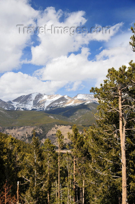 usa1522: Rocky Mountain National Park, Colorado, USA: pines and peaks - Cumulus clouds - photo by M.Torres - (c) Travel-Images.com - Stock Photography agency - Image Bank