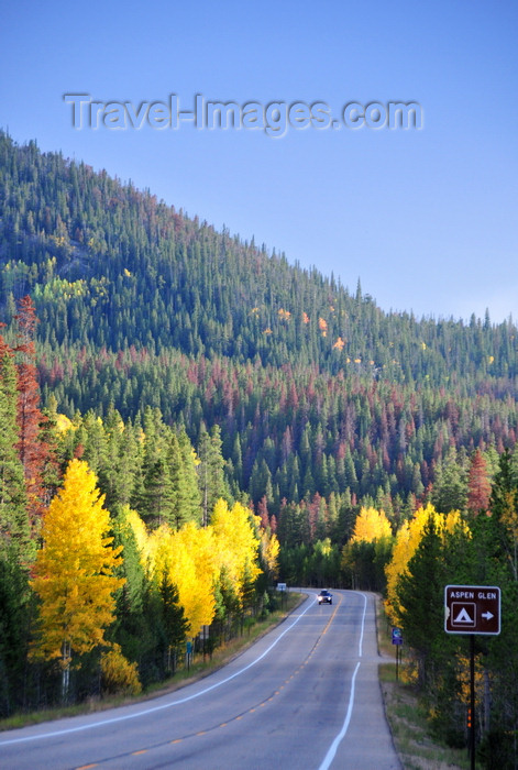 usa1536: Roosevelt National Forest - Poudre Canyon, Larimer County, Colorado, USA: CO 14 - Poudre Canyon Hwy - fall foliage and the road near the exit to Aspen Glen camping ground - photo by M.Torres - (c) Travel-Images.com - Stock Photography agency - Image Bank