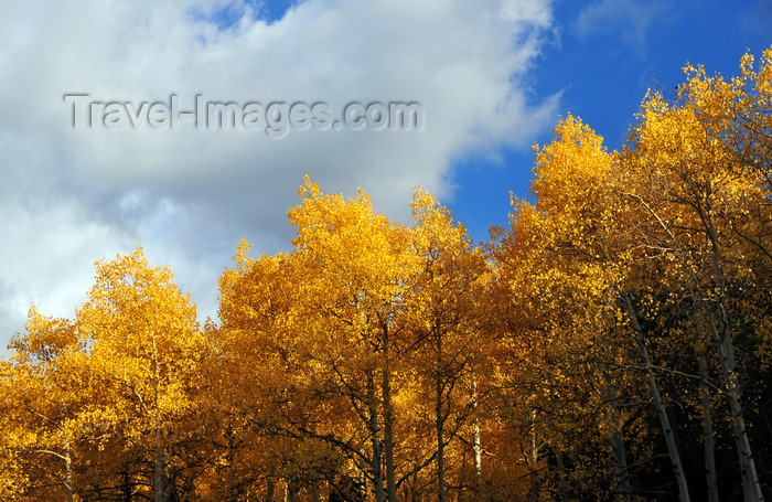 (c) Travel-Images.com - Stock Photography agency - the Global Image Bank