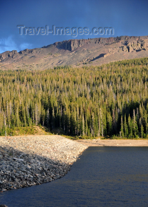 usa1539: Roosevelt National Forest, Larimer County, Colorado, USA: Joe Wright reservoir and the forest - CO-14 road - Poudre Canyon Hwy - photo by M.Torres - (c) Travel-Images.com - Stock Photography agency - Image Bank