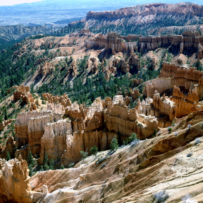 usa155: Bryce Canyon National Park, Utah, USA: edge of the Paunsaugunt Plateau - erosion has carved colorful Claron limestones into thousands of spires, fins, arches and mazes - photo by J.Fekete - (c) Travel-Images.com - Stock Photography agency - Image Bank
